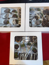 Load image into Gallery viewer, Chocolate Covered Treats
