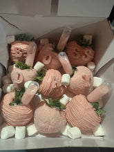 Load image into Gallery viewer, Chocolate Covered Treats
